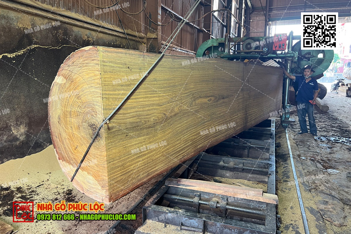 Kinh nghiệm thực tế khi chọn các loại gỗ tự nhiên làm nhà gỗ